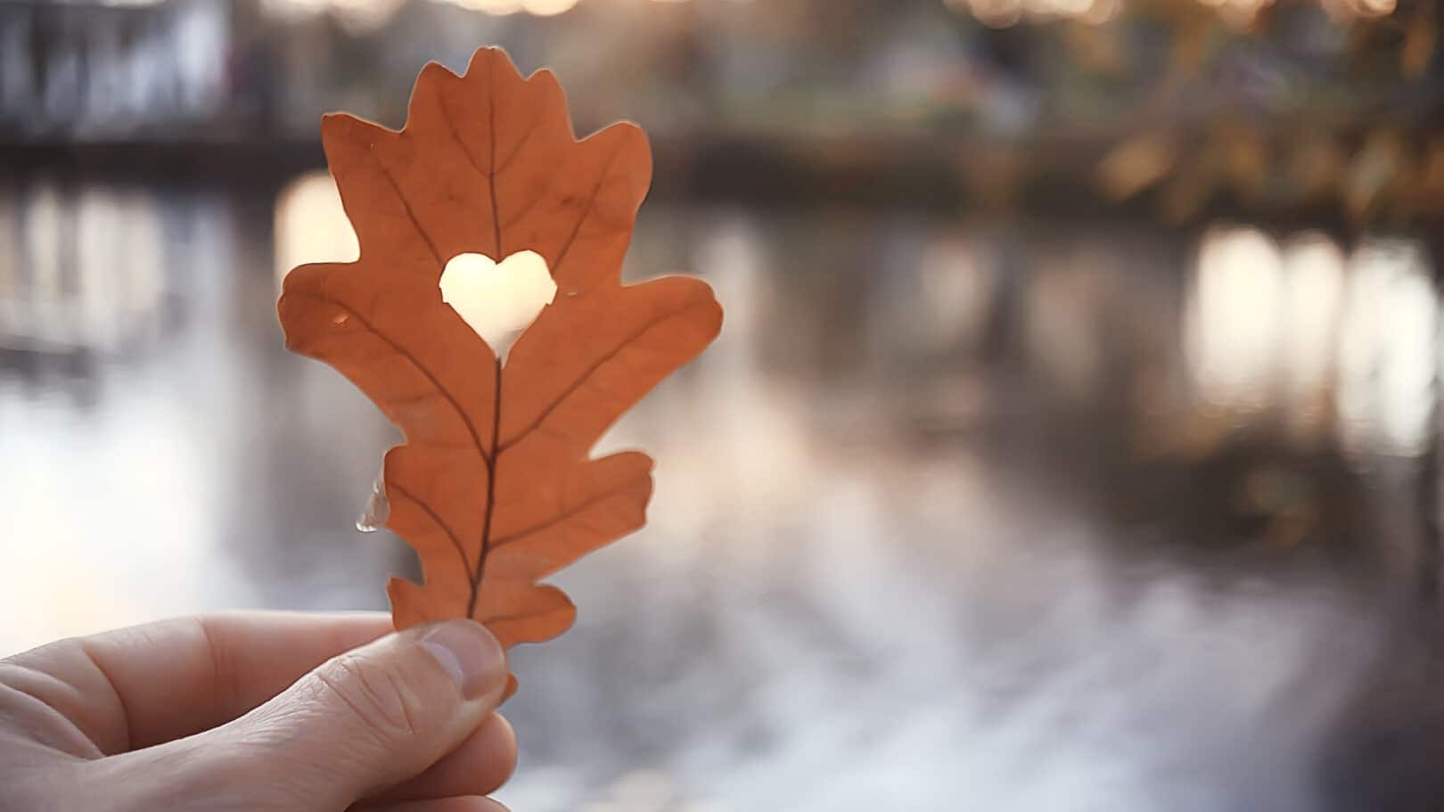 Offre novembre : loveroom Var à Rocbaron avec jacuzzi